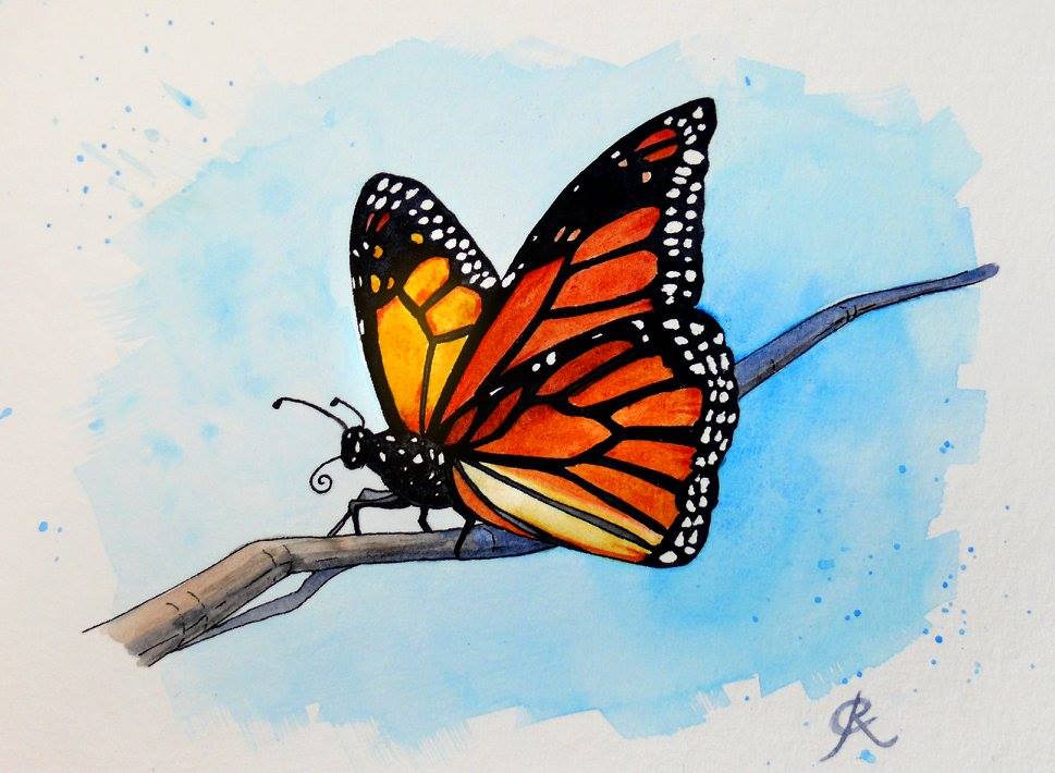 Read more about the article Butterfly Watercolour