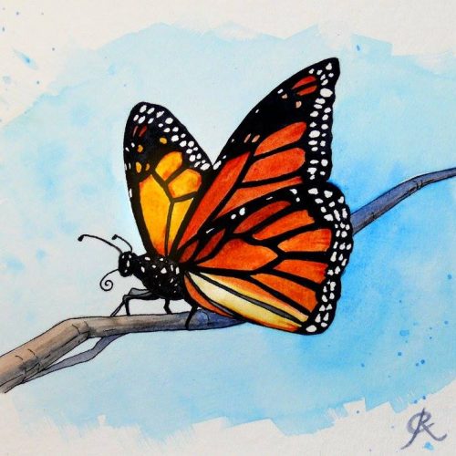 ButterflyWatercolour